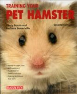 Bertrand.pt - Training Your Pet Hamster