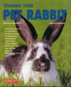 Bertrand.pt - Training Your Pet Rabbit