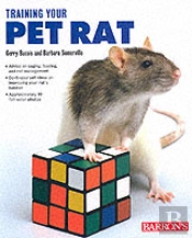 Training Your Pet Rat