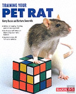 Bertrand.pt - Training Your Pet Rat