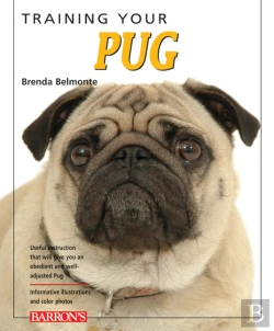 Bertrand.pt - Training Your Pug