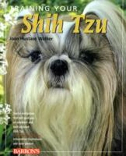 Bertrand.pt - Training Your Shih Tzu