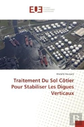 Traitement Du Sol Cotier Pour Stabiliser Les Digues Verticaux