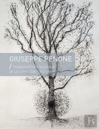 Transcription Musicale De La Structure Des Arbres