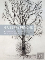 Transcription Musicale De La Structure Des Arbres