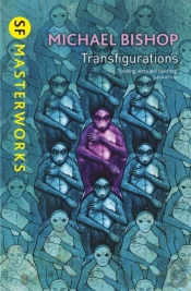 Transfigurations