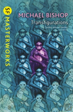 Bertrand.pt - Transfigurations