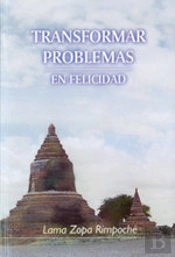 Transformar Problemas En Felicidad  