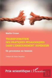 Transformation Des Pratiques Pédagogiques Dans L'Enseignement Supérieur : Un Processus En Tension