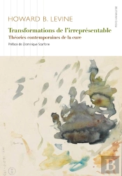 Transformations De L'Irrepresentable - Psychanalyse - Theories Contemporaines De La Cure