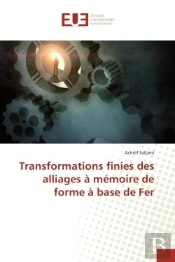 Transformations Finies Des Alliages A Memoire De Forme A Base De Fer