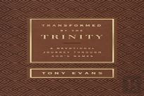 Transformed By The Trinity (Milano Softone)