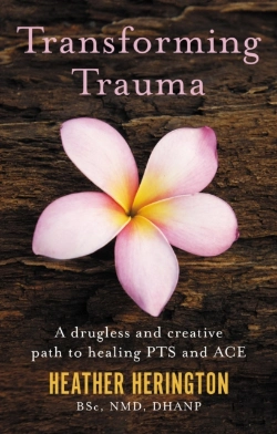 Bertrand.pt - Transforming Trauma