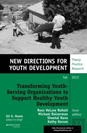 Transforming Youth Serving Organizations To Support Healthy Youth Development