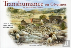 Bertrand.pt - Transhumance En Cévennes