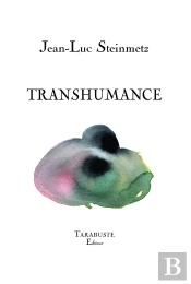 Transhumance - Jean-Luc Steinmetz