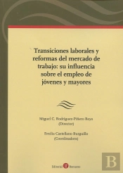 Transiciones Laborales Y Reformas Del Mercado De Trabajo: Su Influencia Sobre El Empleo De Jóvenes Y