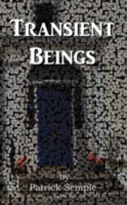 Bertrand.pt - Transient Beings