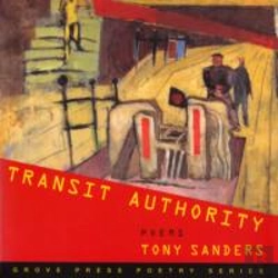 Bertrand.pt - Transit Authority