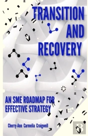 Transition And Recovery - An Sme Roadmap For Effective Strategy