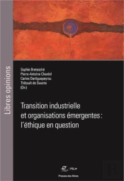 Transition Industrielle Et Organisations Émergentes : L'Éthique En Question