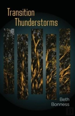 Bertrand.pt - Transition Thunderstorms