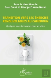 Transition Vers Les Énergies Renouvelables Au Cameroun : Quelques Idées Innovantes Pour Les Villes