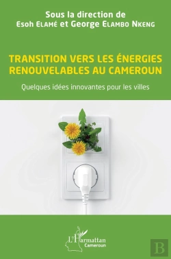 Bertrand.pt - Transition Vers Les Énergies Renouvelables Au Cameroun : Quelques Idées Innovantes Pour Les Villes