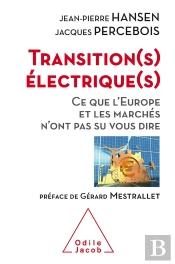 Transitions Électriques ; Ce Que L'Europe Et Les Marchés N'Ont Pas Su Vous Dire