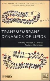 Transmembrane Dynamics Of Lipids
