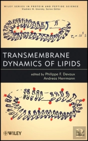 Transmembrane Dynamics Of Lipids