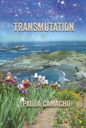 Transmutation