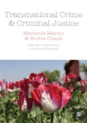 Transnational Crime And Criminal Justice