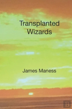 Bertrand.pt - Transplanted Wizards