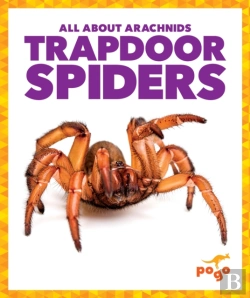 Bertrand.pt - Trapdoor Spiders