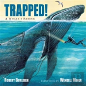Trapped! A Whale'S Rescue