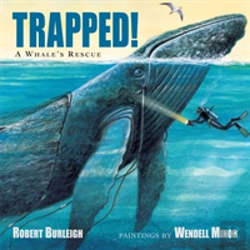 Bertrand.pt - Trapped!