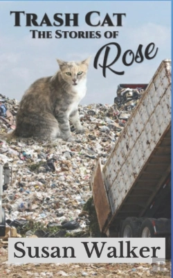 Bertrand.pt - Trash Cat