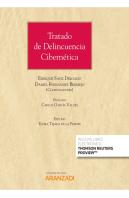 Tratado De Delincuencia Cibernetica
