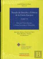 Tratado De Derecho Y Políticas De La Unión Europea (Tomo Vi)