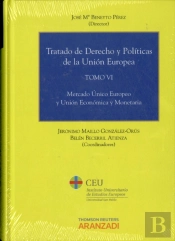 Tratado De Derecho Y Políticas De La Unión Europea (Tomo Vi)