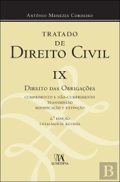 Tratado de Direito Civil IX