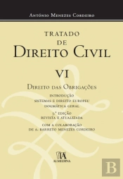 Tratado de Direito Civil VI