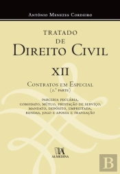 Tratado de Direito Civil XII