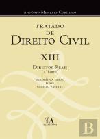 Tratado de Direito Civil XIII