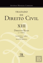 Tratado de Direito Civil XIII