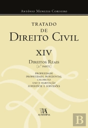 Tratado de Direito Civil XIV