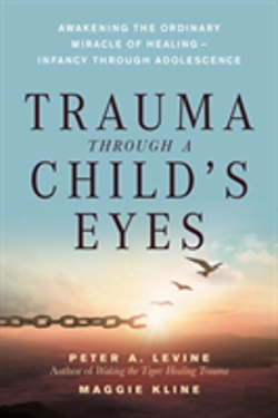 Bertrand.pt - Trauma Through A Child'S Eyes