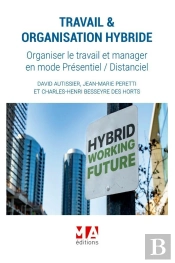 Travail Et Organisation Hybride : Organiser Le Travail Et Manager En Mode Presentiel/Distanciel