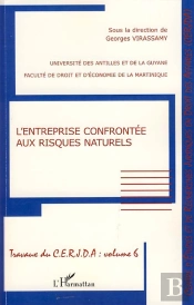 Travaux Du C.E.R.J.D.A T.6 ; L'Entreprise Confrontée Aux Risques Naturels
